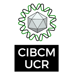 Identificador Cibcm